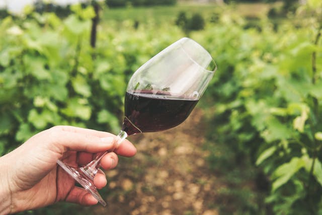 Wino z nalewaka – elegancja i wygoda w nowoczesnym wydaniu